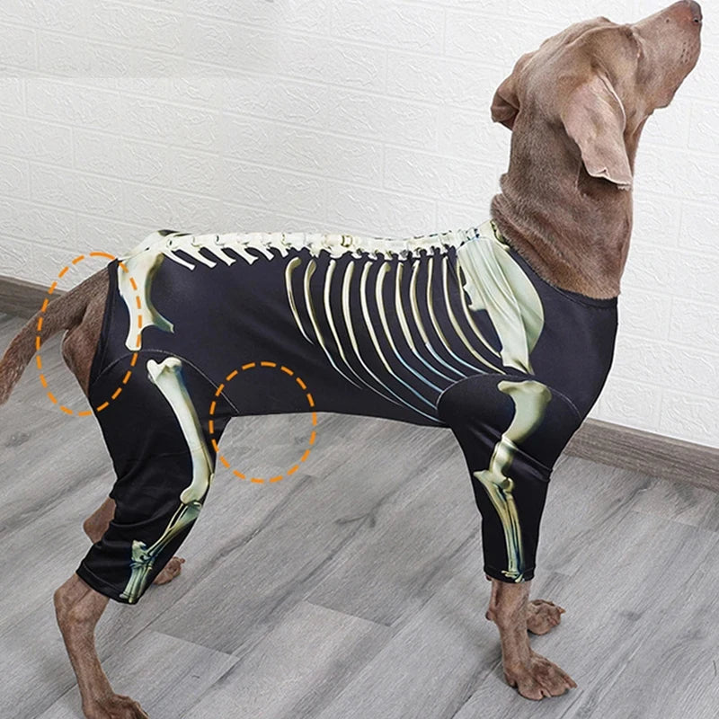 Disfraz de Esqueleto para Perros | Tallas S a XXXL