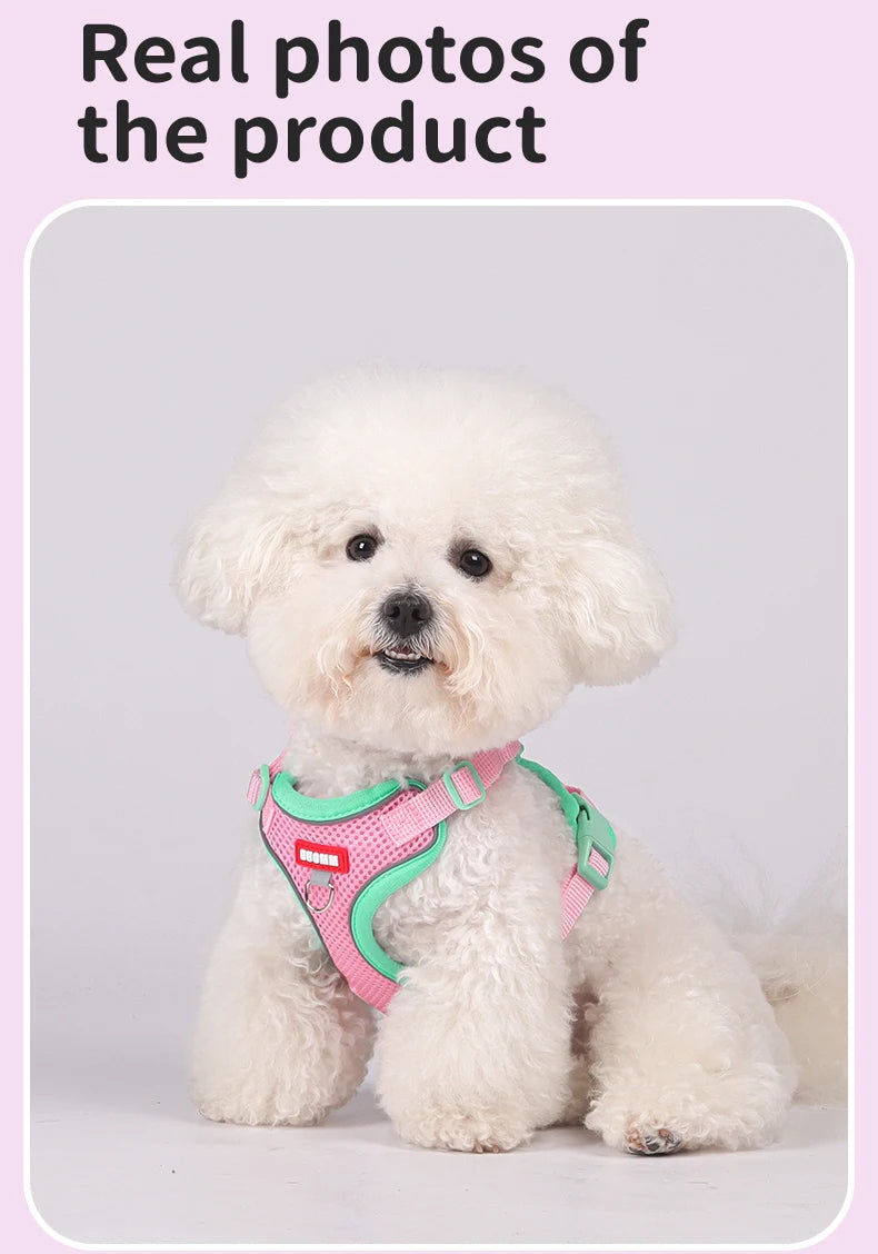 Arnés de Malla Transpirable con Correa Extensible para Gatos y Perros — Reflectante, Antipérdida, Tallas S–XL
