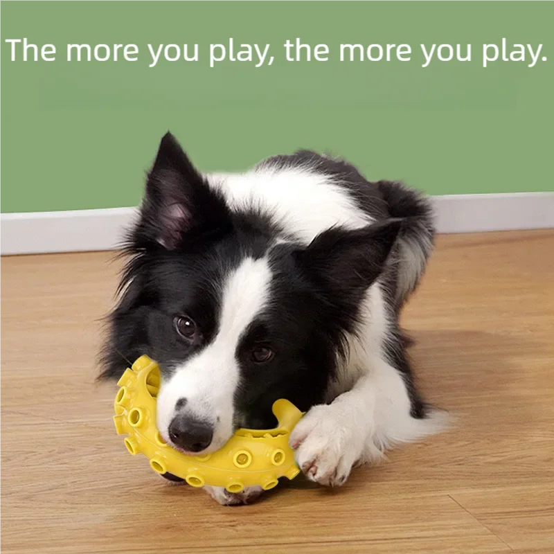 Juguete Masticable de TPR para Perros Pequeños y Medianos - Limpieza Dental