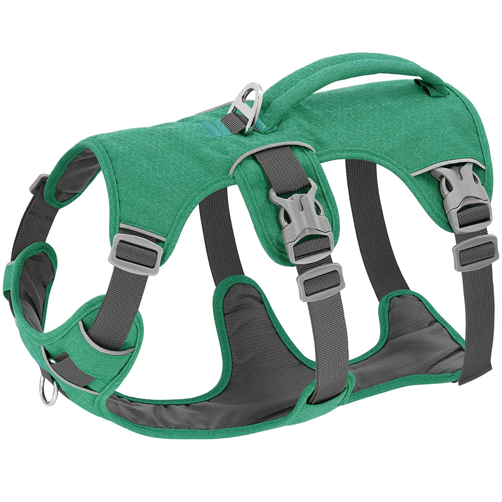 Arnés de Nylon Antipérdida para Perros con Asa de Control — Reflectante, Acolchado, Tallas XS–M