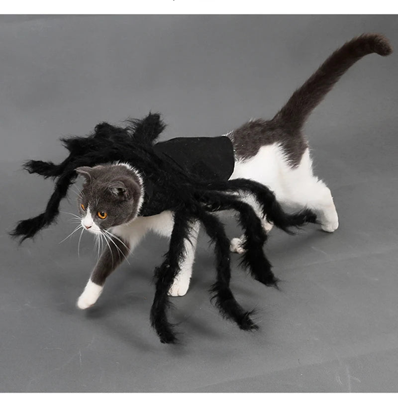Disfraz de Araña para Perros y Gatos – Cosplay Divertido para Halloween y Fiestas | Tallas S y M