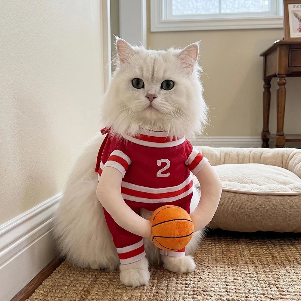Disfraz de Camiseta de Baloncesto para Perros y Gatos – Transpirable y Ajustable | Tallas XS a XL