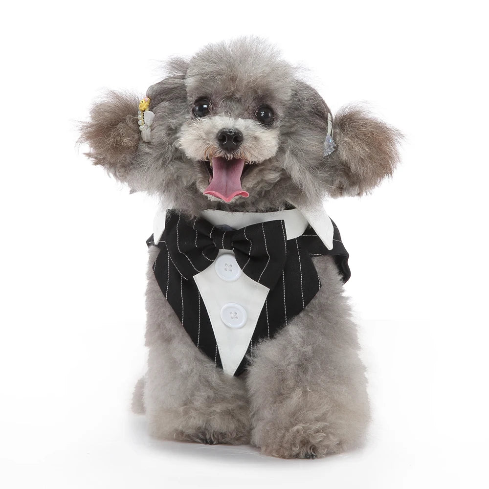 Esmoquin Formal con Pajarita para Perros y Gatos – Traje Elegante para Bodas, Halloween y Fiestas | Tallas XS a XL