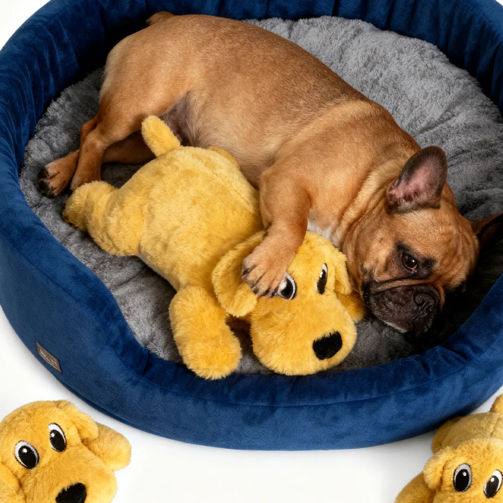 Peluche Interactivo Doble Capa para Perros y Gatos - Lavable, Resistente y con Sonido