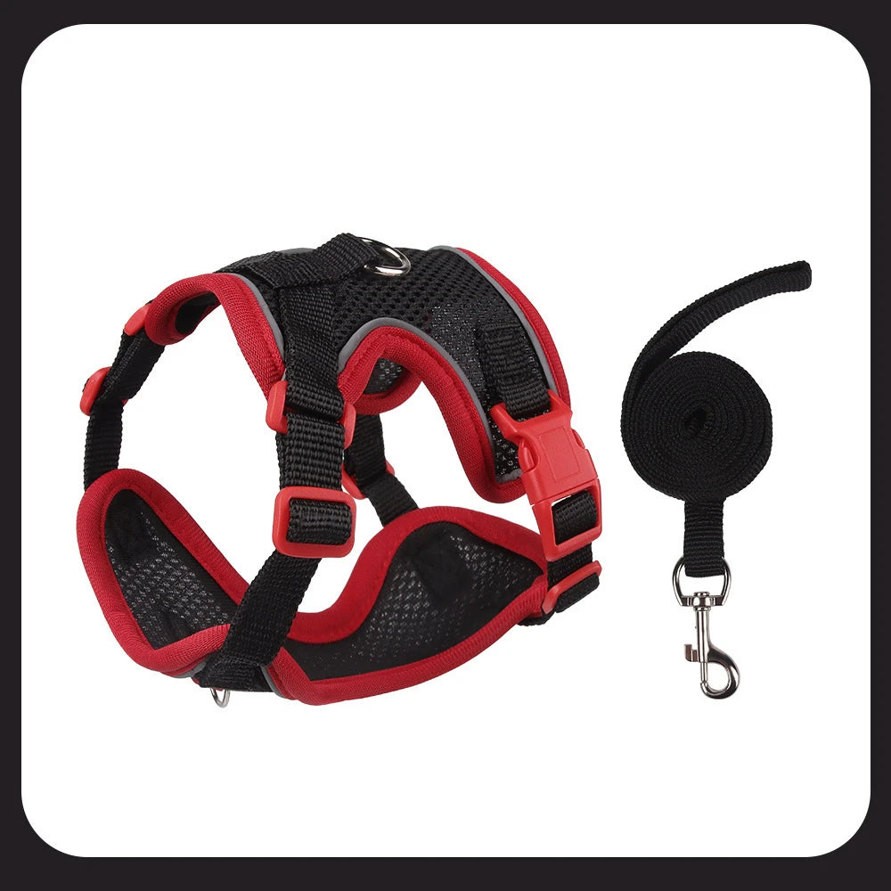 Arnés de Malla Transpirable con Correa Extensible para Gatos y Perros — Reflectante, Antipérdida, Tallas S–XL