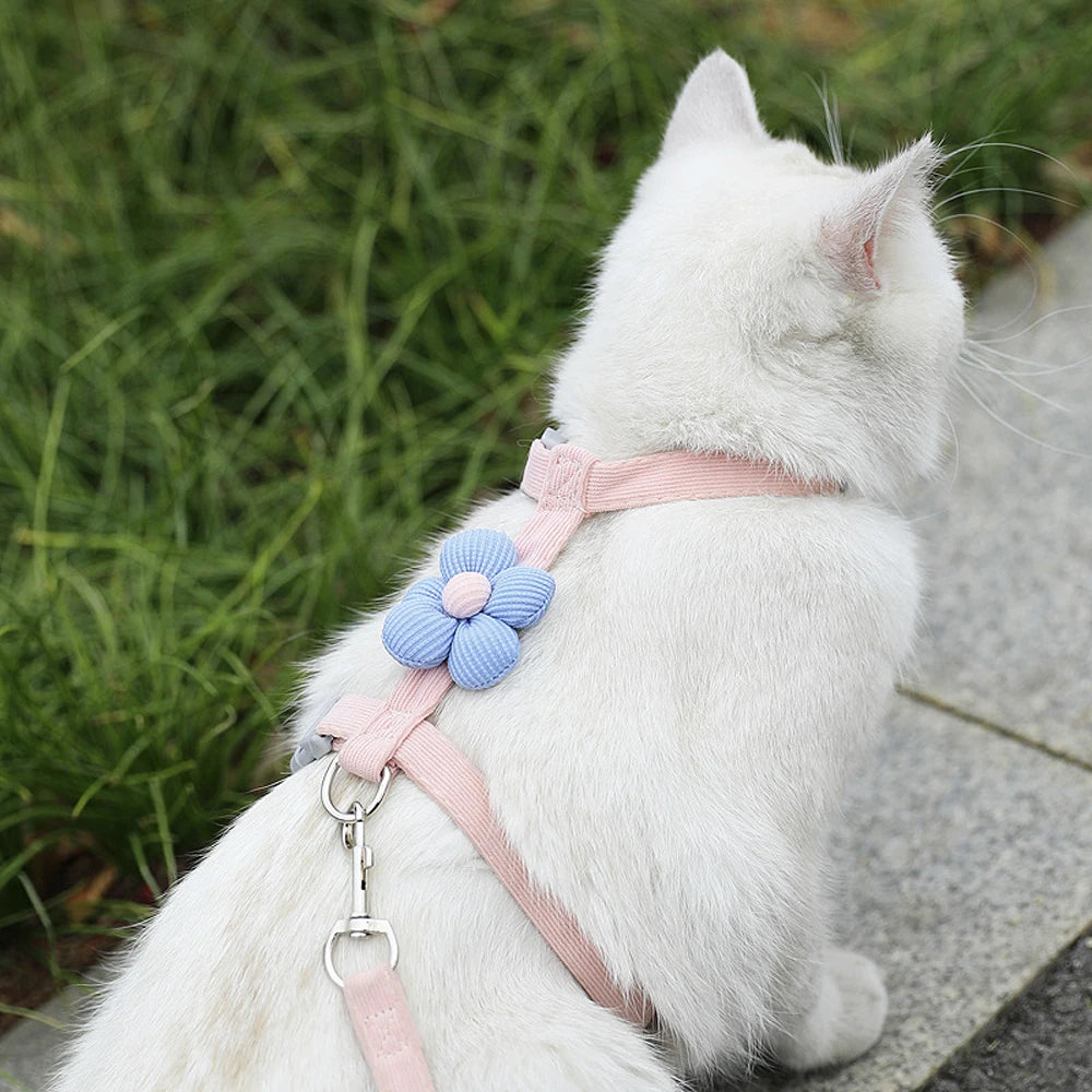 Arnés Ajustable con Correa para Perros y Gatos Pequeños — Transpirable, Tallas S y M