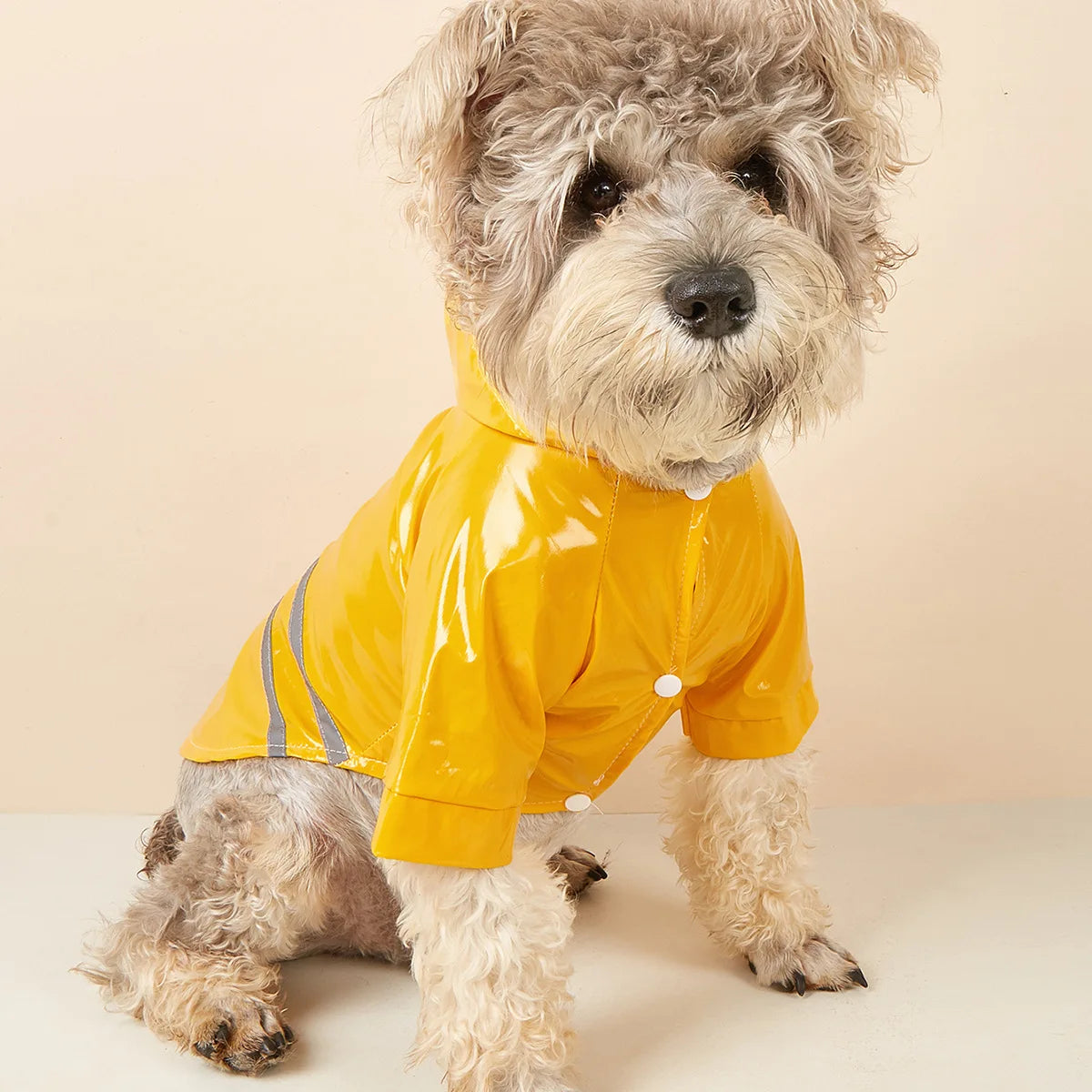 Chubasquero Poncho Impermeable con Franja Reflectante para Perros Pequeños – PU Cortavientos | Tallas S a XL