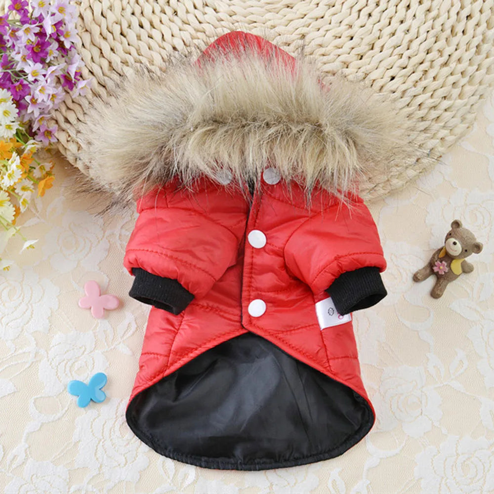 Dog Coat Small Dog Jacket Windproof Warm Padded Down Hoodie Snowsuit Fashion Winter Dog Clothes for Cat Puppy Chihuahua Yorkie