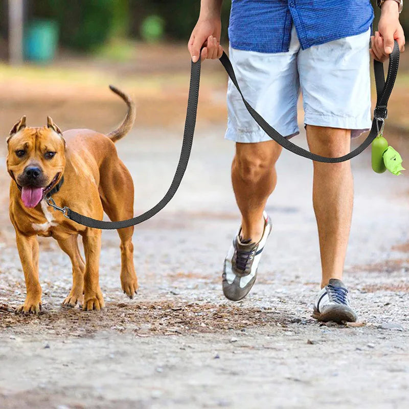 Correa Reflectante para Perros y Gatos — Paseo Nocturno, Varios Colores y Longitudes