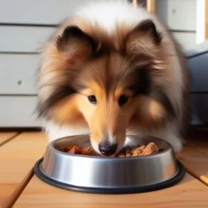 comida húmeda para perros